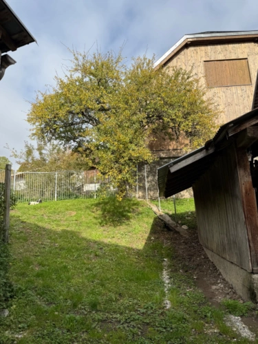 Photos 5 - Rurale - Maison à vendre 1 pièces LA COMPOTE (73)