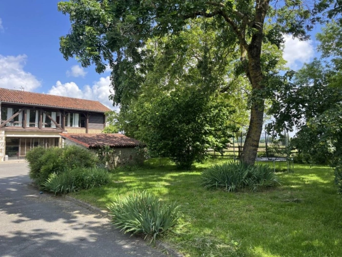 Photos 2 - Équestre - Propriété