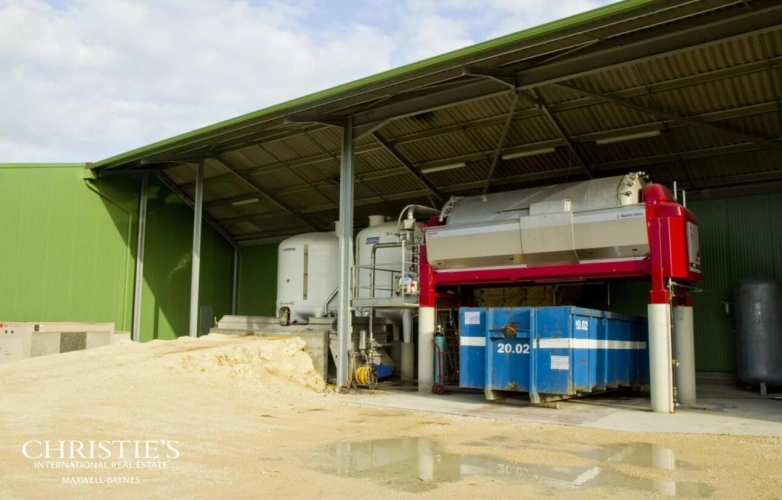 Photos 2 - Vineyard - Exceptional Wine Estate in the Armagnac Region