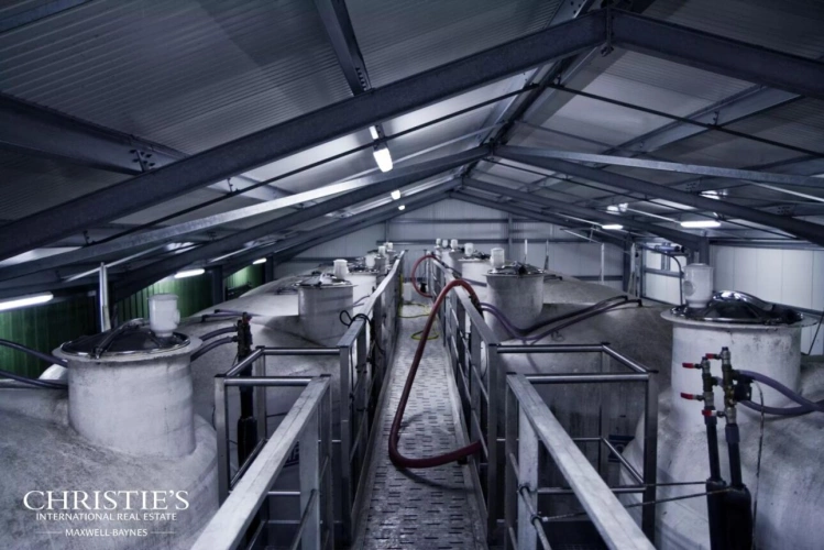 Photos 3 - Vineyard - Exceptional Wine Estate in the Armagnac Region