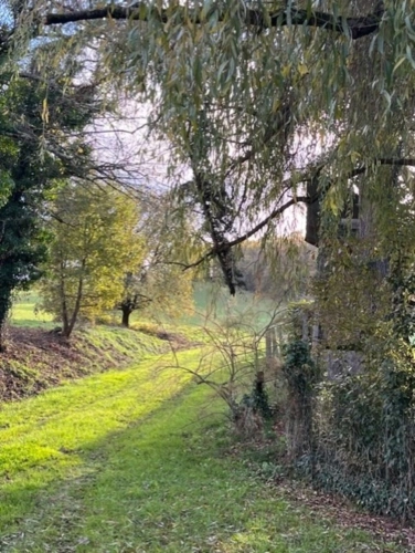 Photos 29 - Équestre - MARCIAC et PLAISANCE(32), AUTHENTIQUE et ELEGANTE PROPRIETE GASCONNE, dans son jus, SANS VOISIN, VUE sur les coteaux 300m2, dependances 500m2, près de 8ha bois et terres