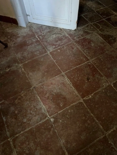 Photos 54 - Équestre - MARCIAC et PLAISANCE(32), AUTHENTIQUE et ELEGANTE PROPRIETE GASCONNE, dans son jus, SANS VOISIN, VUE sur les coteaux 300m2, dependances 500m2, près de 8ha bois et terres