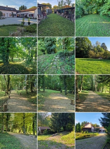 Photos 13 - Touristique - PROPRIÉTÉ avec VILLA PARC FORET à vendre 8 pièces proche de CONTREXEVILLE (88) idéale GITE de groupe/ Maison