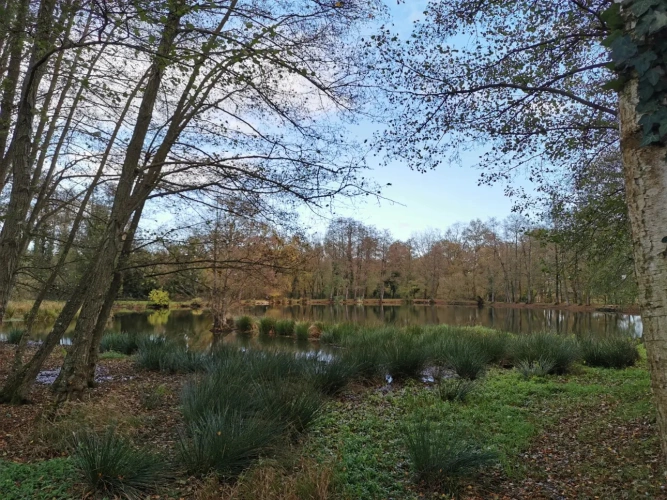 Photos 1 - Rurale - Terrains de loisirs avec étang