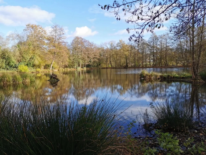 Photos 3 - Rurale - Terrains de loisirs avec étang