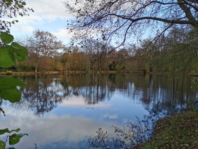 Photos 4 - Rurale - Terrains de loisirs avec étang