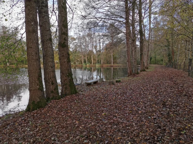 Photos 5 - Rurale - Terrains de loisirs avec étang