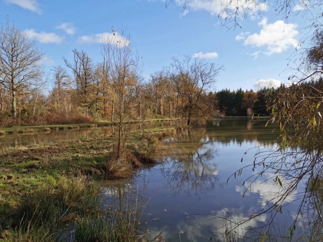 Photos 1 - Rurale - Etang et Mobil-home
