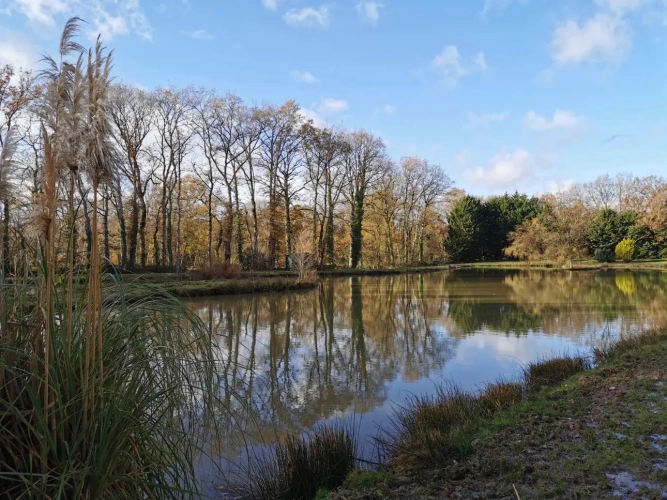 Photos 2 - Rurale - Etang et Mobil-home