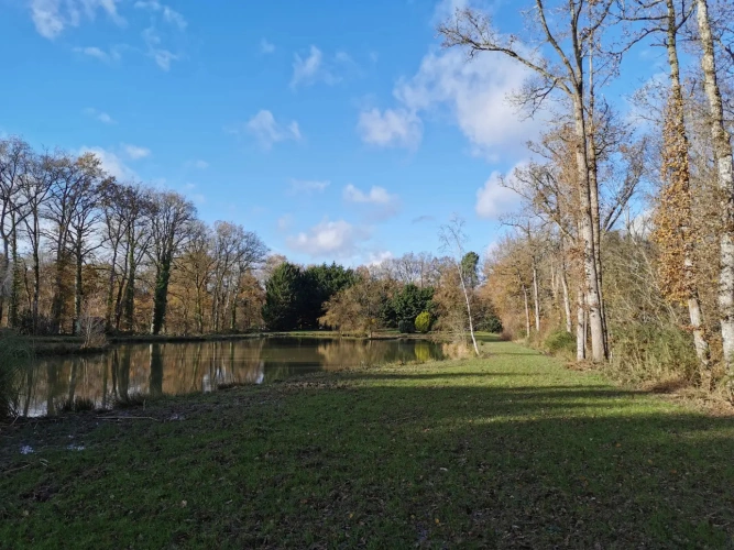 Photos 3 - Rurale - Etang et Mobil-home
