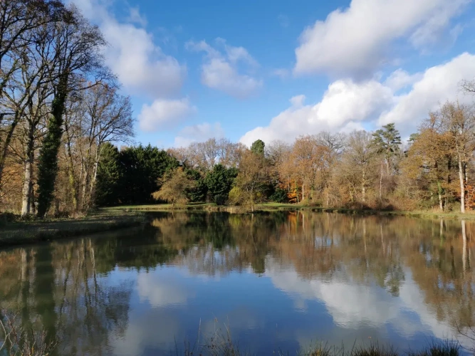Photos 4 - Rurale - Etang et Mobil-home