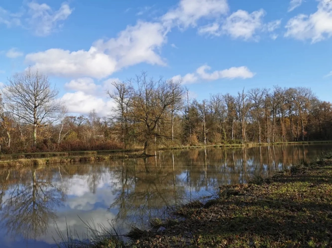Photos 5 - Rurale - Etang et Mobil-home