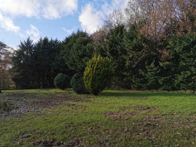 Photos 6 - Rurale - Etang et Mobil-home