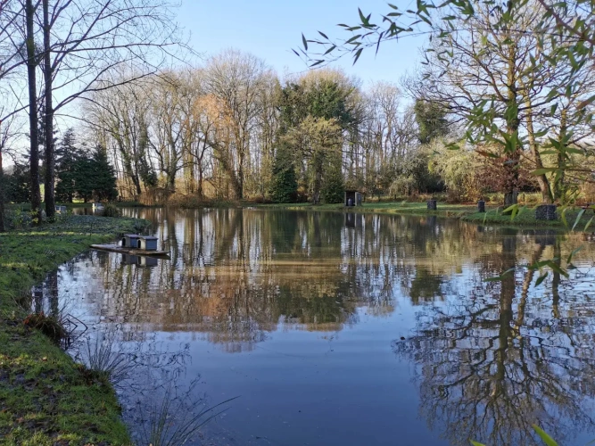 Photos 5 - Rurale - Etang et Caravane