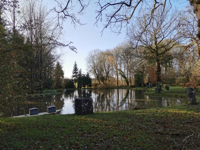 Photos 6 - Rurale - Etang et Caravane