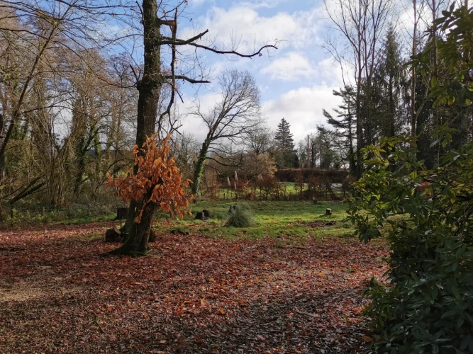 Photos 10 - Rurale - Etang et Caravane