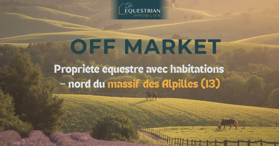 Photos 1 - Equestrian - Propriété équestre avec habitations - nord Alpilles (13)