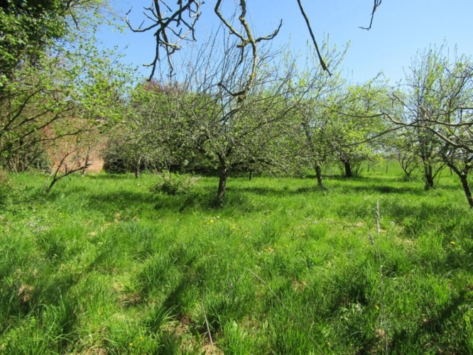 Photos 9 - Rurale - Magnifique Corps de ferme