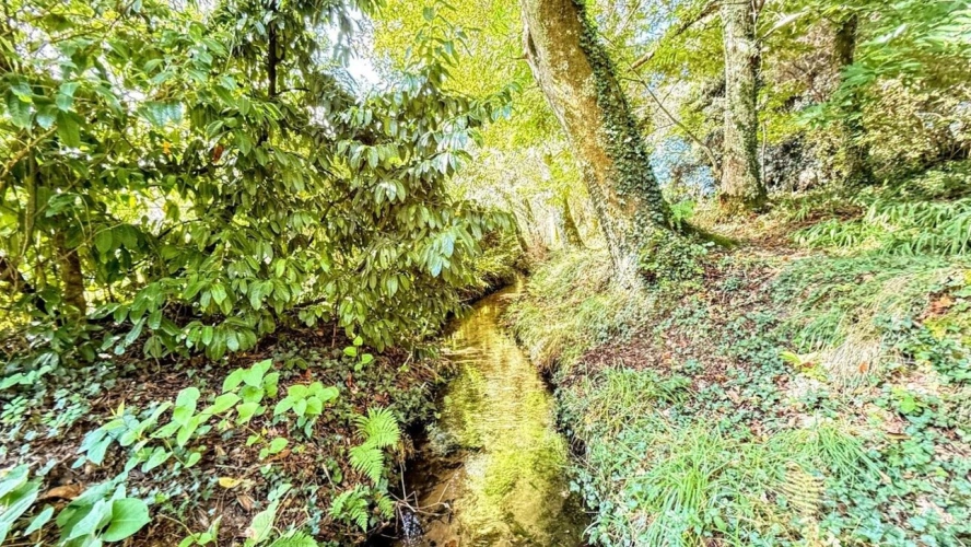 Photos 12 - Prestige - Propriété