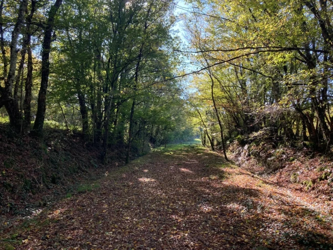 Photos 1 - Forestière - Vends étang de 5000m2 sur 10ha 83 a 43ca de bois et de prairies en bordure de rivière