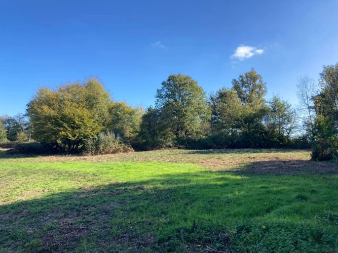 Photos 2 - Forestière - Vends étang de 5000m2 sur 10ha 83 a 43ca de bois et de prairies en bordure de rivière