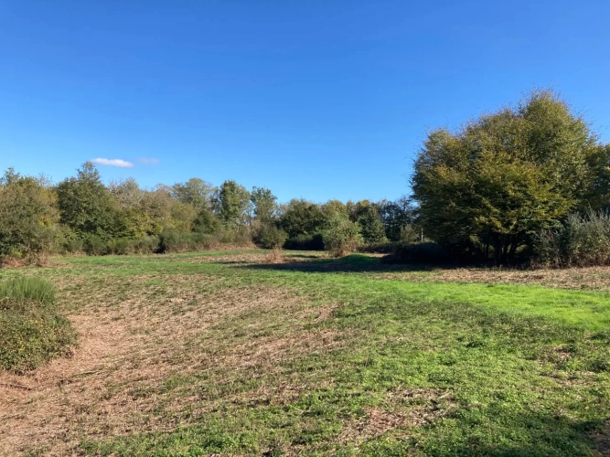 Photos 3 - Forestière - Vends étang de 5000m2 sur 10ha 83 a 43ca de bois et de prairies en bordure de rivière