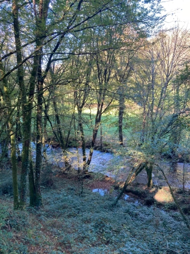 Photos 11 - Forestière - Vends étang de 5000m2 sur 10ha 83 a 43ca de bois et de prairies en bordure de rivière
