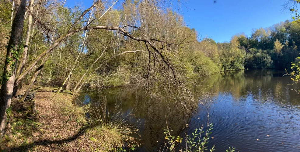 Photos 14 - Forestière - Vends étang de 5000m2 sur 10ha 83 a 43ca de bois et de prairies en bordure de rivière