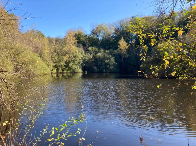 Photos 15 - Forestière - Vends étang de 5000m2 sur 10ha 83 a 43ca de bois et de prairies en bordure de rivière
