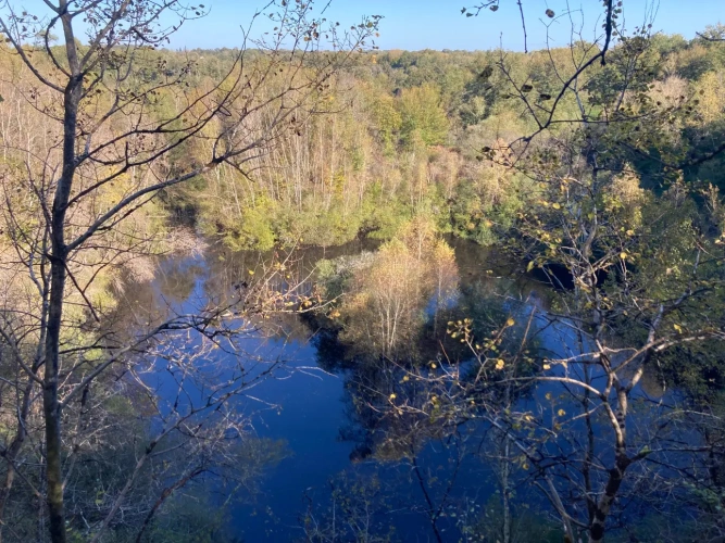 Photos 16 - Forestière - Vends étang de 5000m2 sur 10ha 83 a 43ca de bois et de prairies en bordure de rivière