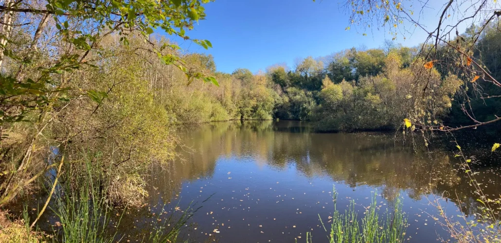 Photos 18 - Forestière - Vends étang de 5000m2 sur 10ha 83 a 43ca de bois et de prairies en bordure de rivière