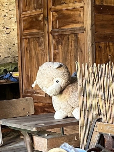 Photos 11 - Rural - PLAISANCE DU GERS-MARCIAC, AUTHENTIC RURAL PROPERTY 2 hectares, no neighbors, no overlooking, a litt