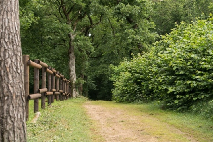 Photos 13 - Equestrian - Equestrian Estate with Cottages