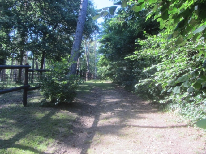 Photos 23 - Equestrian - Equestrian Estate with Cottages