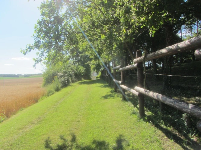 Photos 28 - Equestrian - Equestrian Estate with Cottages