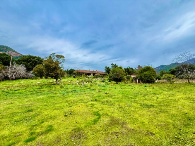 Photos 1 - Touristique - SAGONE (Corse) : Propriete à vendre, maison T4 + dépendance avec 2 appartements T1, sur terrain plat de 5000m2