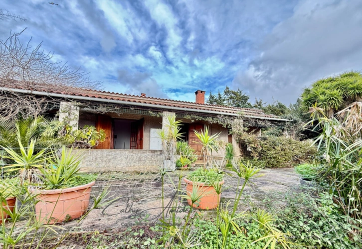 Photos 2 - Touristique - SAGONE (Corse) : Propriete à vendre, maison T4 + dépendance avec 2 appartements T1, sur terrain plat de 5000m2