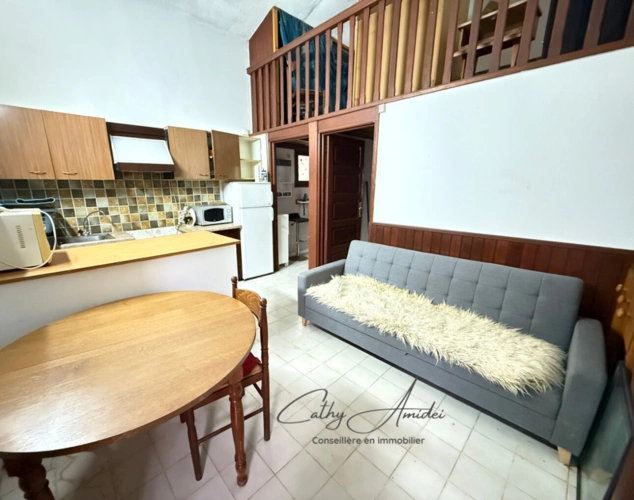 Photos 12 - Touristique - SAGONE (Corse) : Propriete à vendre, maison T4 + dépendance avec 2 appartements T1, sur terrain plat de 5000m2