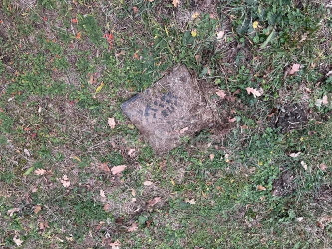 Photos 15 - Rurale - Propriété agricole sur 2,4 hectares de terrain