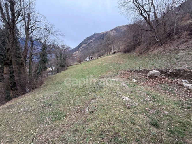 Photos 16 - Rurale - Propriété agricole sur 2,4 hectares de terrain