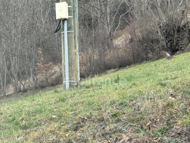 Photos 19 - Rurale - Propriété agricole sur 2,4 hectares de terrain