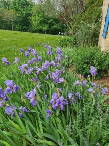 Photos 9 - Rurale - Maison