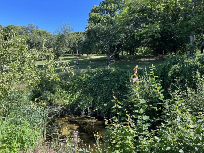 Photos 17 - Rurale - Maison de campagne