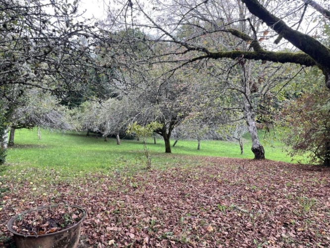 Photos 8 - Rurale - Maison