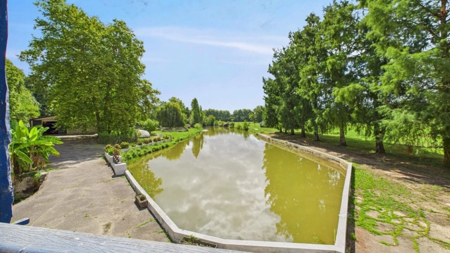 Photos 13 - Équestre - Moulin