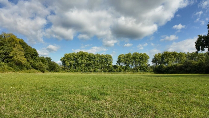 Photos 16 - Équestre - Moulin