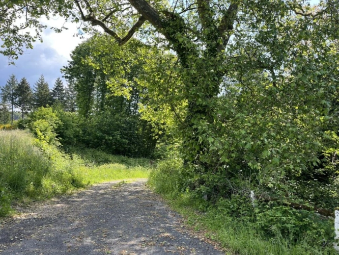 Photos 17 - Rural - Property