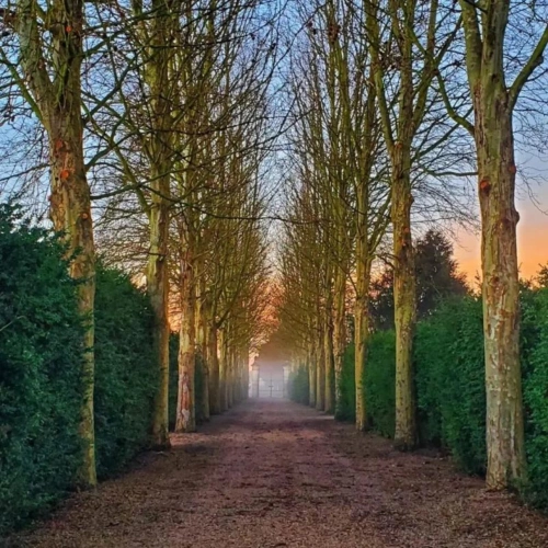 Photos 13 - Prestige - Château