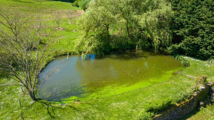 Photos 8 - Rurale - Maison de caractère