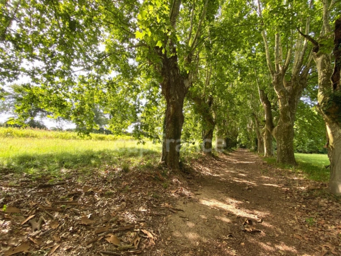 Photos 4 - Prestige - Dpt Gard (30), à vendre dans le Gard, propriété viticole en AOP Côtes du Rhône sur 25 hectares avec Château du XVème siècle